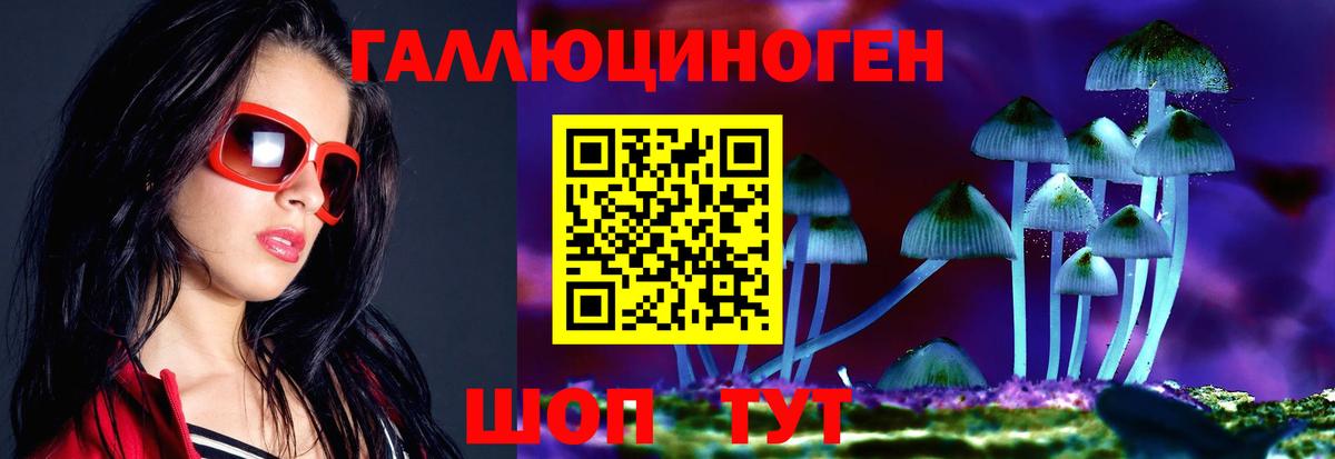 Галлюциногенные грибы мицелий  Вход с VPN  Свободный 